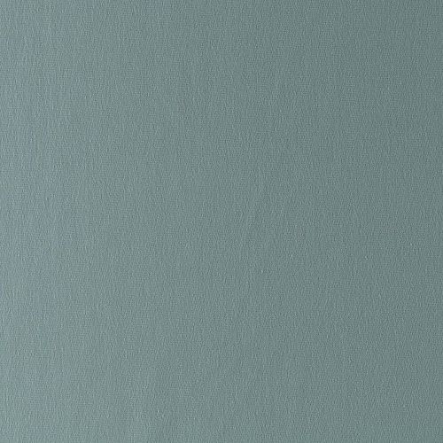 Футер 2-х нитка 1020-355-062-0065 фисташковый однотонный