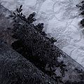Гипюр 012-10390 черный